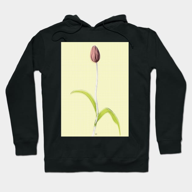 Delicate Tulip Bud with Leaves Hoodie by VeraAlmeida